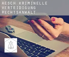 Aesch  kriminelle verteidigung rechtsanwalt