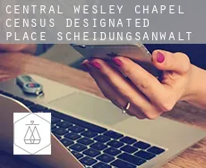 Central Wesley Chapel Scheidungsanwalt