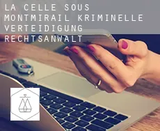 La Celle-sous-Montmirail  kriminelle verteidigung rechtsanwalt