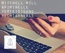 Mitchell Mill  kriminelle verteidigung rechtsanwalt