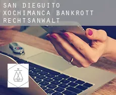 San Dieguito Xochimanca  bankrott rechtsanwalt