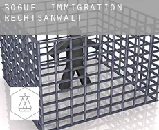Bogue  immigration rechtsanwalt