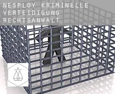 Nesploy  kriminelle verteidigung rechtsanwalt