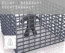 Reint  bankrott rechtsanwalt