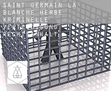 Saint-Germain-la-Blanche-Herbe kriminelle verteidigung rechtsanwalt
