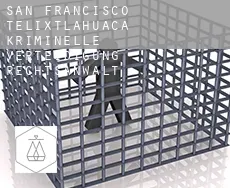San Francisco Telixtlahuaca  kriminelle verteidigung rechtsanwalt