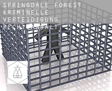 Springdale Forest  kriminelle verteidigung rechtsanwalt