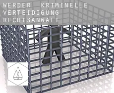 Werder  kriminelle verteidigung rechtsanwalt