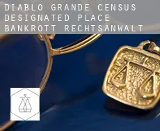 Diablo Grande  bankrott rechtsanwalt