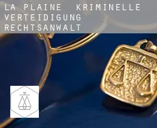 La Plaine  kriminelle verteidigung rechtsanwalt