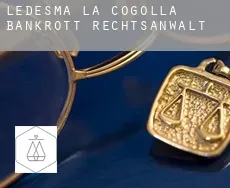Ledesma de la Cogolla  bankrott rechtsanwalt