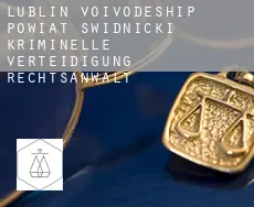 Powiat świdnicki (Lublin Voivodeship)  kriminelle verteidigung rechtsanwalt