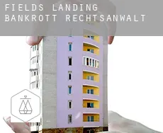 Fields Landing  bankrott rechtsanwalt
