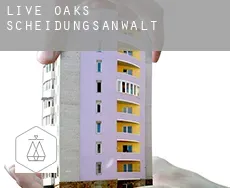 Live Oaks  Scheidungsanwalt