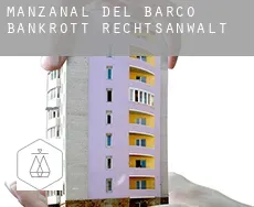 Manzanal del Barco  bankrott rechtsanwalt