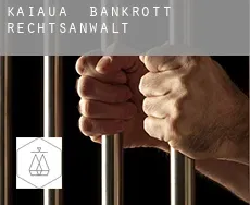Kaiaua bankrott rechtsanwalt