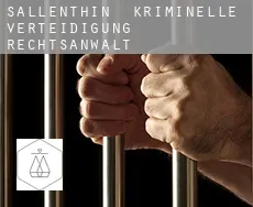 Sallenthin  kriminelle verteidigung rechtsanwalt