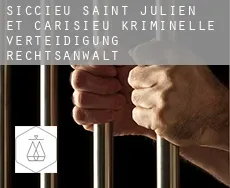 Siccieu-Saint-Julien-et-Carisieu  kriminelle verteidigung rechtsanwalt