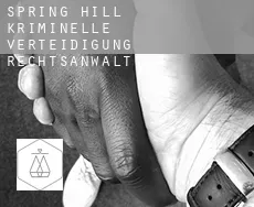 Spring Hill  kriminelle verteidigung rechtsanwalt