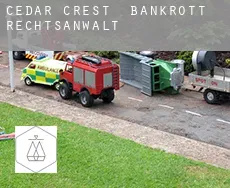 Cedar Crest  bankrott rechtsanwalt