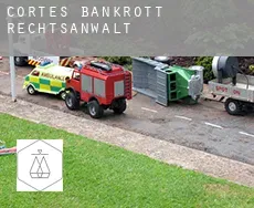 Cortes  bankrott rechtsanwalt