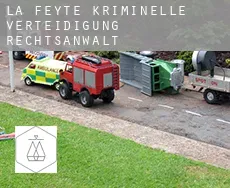 La Feyte  kriminelle verteidigung rechtsanwalt