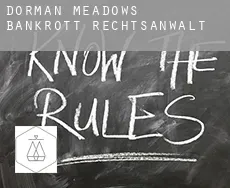 Dorman Meadows  bankrott rechtsanwalt