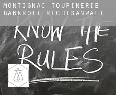 Montignac-Toupinerie bankrott rechtsanwalt