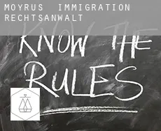 Moyrus immigration rechtsanwalt