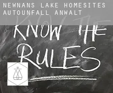 Newnans Lake Homesites  Autounfall Anwalt