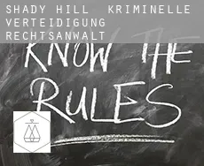 Shady Hill  kriminelle verteidigung rechtsanwalt