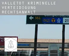 Valletot  kriminelle verteidigung rechtsanwalt