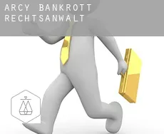 Arcy  bankrott rechtsanwalt