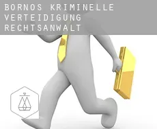 Bornos  kriminelle verteidigung rechtsanwalt