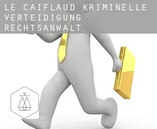 Le Caiflaud  kriminelle verteidigung rechtsanwalt