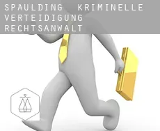 Spaulding  kriminelle verteidigung rechtsanwalt