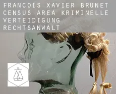 François-Xavier-Brunet (census area)  kriminelle verteidigung rechtsanwalt