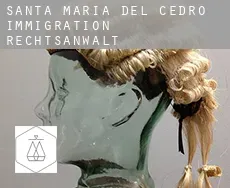 Santa Maria del Cedro  immigration rechtsanwalt