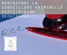 Montastruc-la-Conseillère  kriminelle verteidigung rechtsanwalt