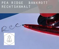 Pea Ridge  bankrott rechtsanwalt