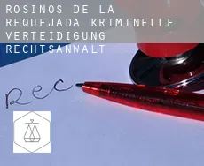 Rosinos de la Requejada  kriminelle verteidigung rechtsanwalt
