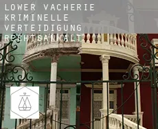 Lower Vacherie kriminelle verteidigung rechtsanwalt