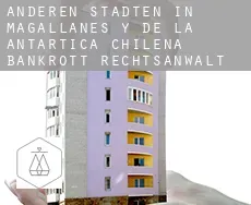 Anderen Städten in Magallanes y de la Antartica Chilena  bankrott rechtsanwalt