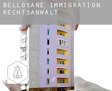 Bellosane  immigration rechtsanwalt