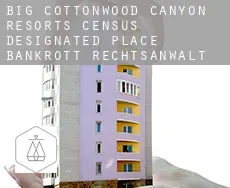 Big Cottonwood Canyon Resorts  bankrott rechtsanwalt