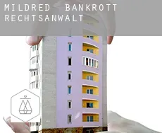 Mildred  bankrott rechtsanwalt