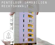 Penteloup  immobilien rechtsanwalt