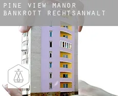 Pine View Manor  bankrott rechtsanwalt