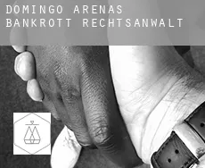 Domingo Arenas  bankrott rechtsanwalt