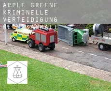 Apple Greene  kriminelle verteidigung rechtsanwalt